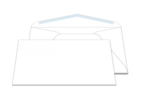 #10 Regular Envelope Custom Printed