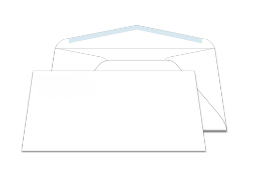 #10 Regular Envelope Custom Printed