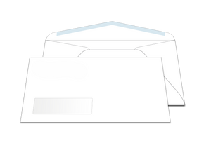 #10 Window Envelope Custom Printed